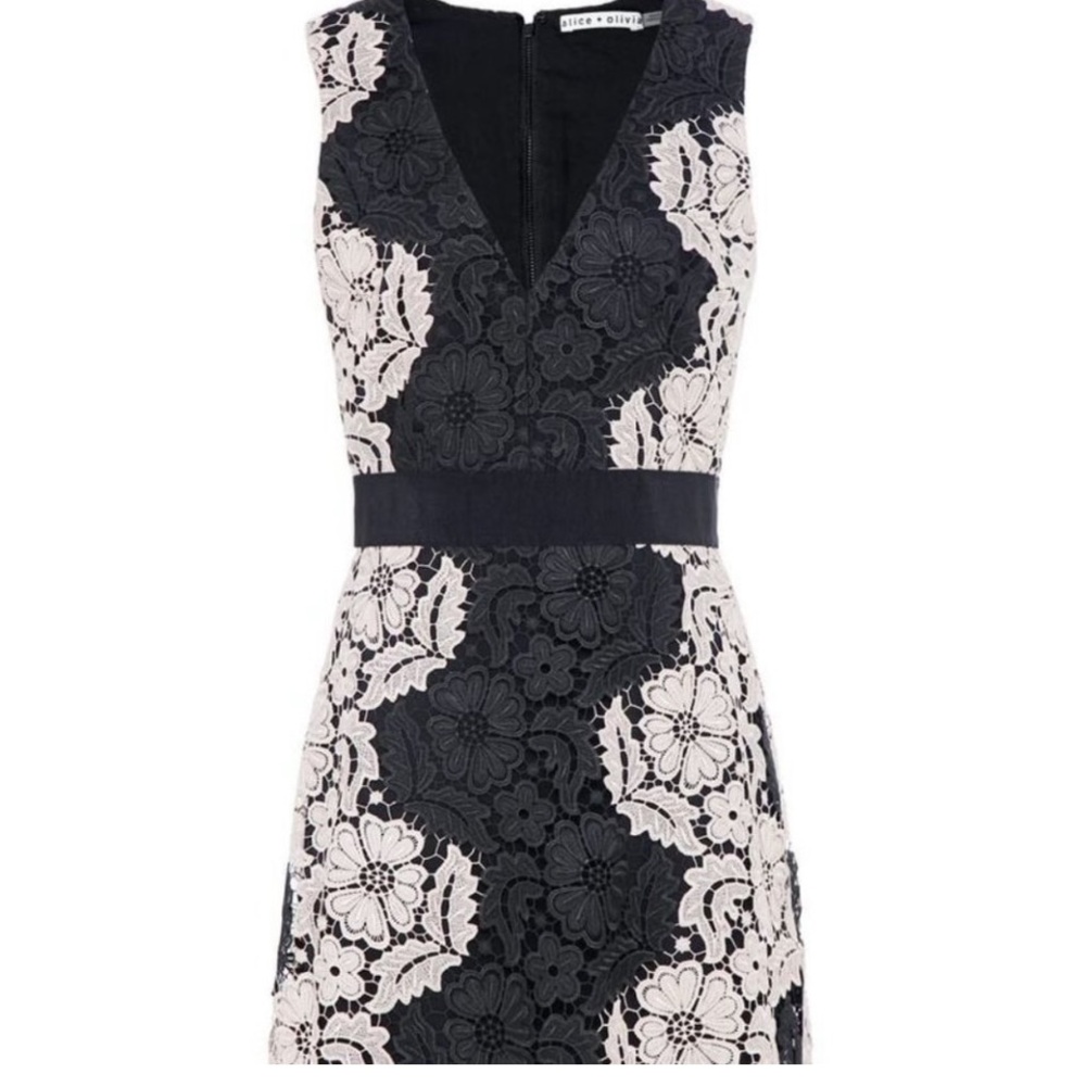 Alice & Olivia Patrice dress. Worn once. Lovely cocktail dress.